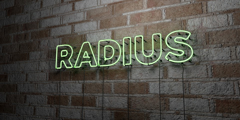 RADIUS - Glowing Neon Sign on stonework wall - 3D rendered royalty free stock illustration.  Can be used for online banner ads and direct mailers..