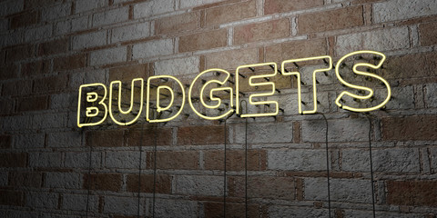 Fototapeta na wymiar BUDGETS - Glowing Neon Sign on stonework wall - 3D rendered royalty free stock illustration. Can be used for online banner ads and direct mailers..