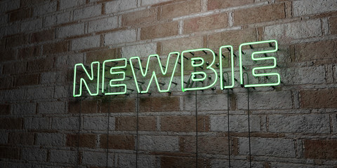 NEWBIE - Glowing Neon Sign on stonework wall - 3D rendered royalty free stock illustration.  Can be used for online banner ads and direct mailers..