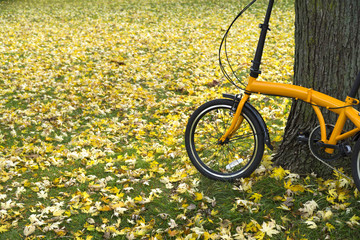 Naklejka premium Orange folding bike in the forest an autumn day