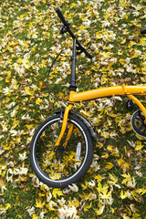 Fototapeta na wymiar Orange folding bike in the forest an autumn day