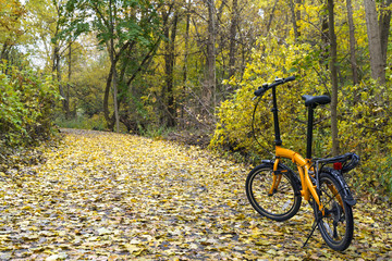 Fototapeta premium Orange folding bike in the forest an autumn day