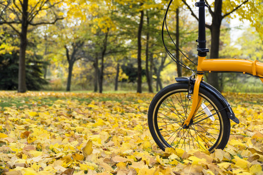 Orange folding bike in the forest an autumn day