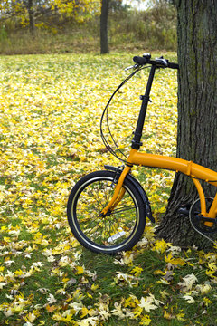 Orange folding bike in the forest an autumn day