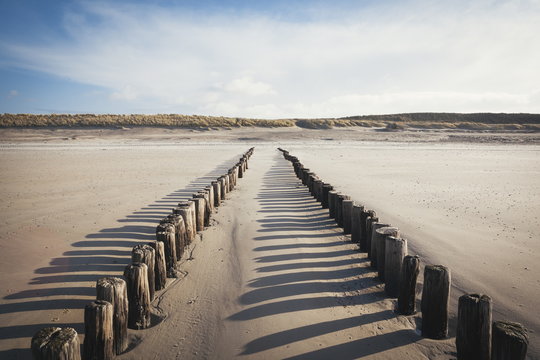 Wooden groynes on a sandy beach, leading to sand dunes, Domburg, Zeeland, The Netherlands 