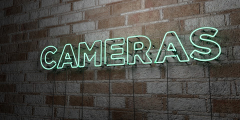 CAMERAS - Glowing Neon Sign on stonework wall - 3D rendered royalty free stock illustration.  Can be used for online banner ads and direct mailers..