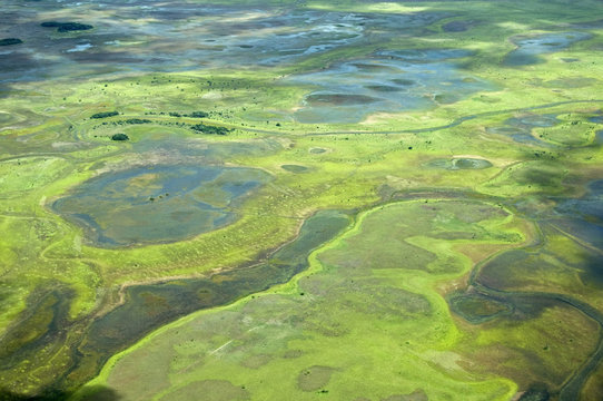 Aerial View Of Flooded Areas Of The Rupununi, Guyana