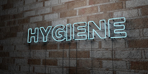 Fototapeta na wymiar HYGIENE - Glowing Neon Sign on stonework wall - 3D rendered royalty free stock illustration. Can be used for online banner ads and direct mailers..