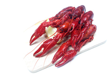 Boiled red crawfish on wood