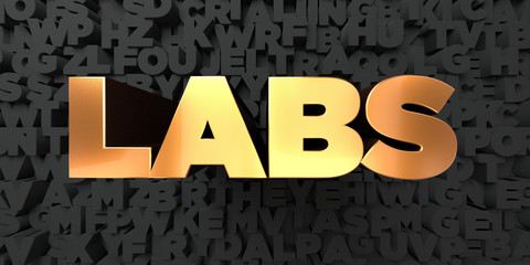 Labs - Gold text on black background - 3D rendered royalty free stock picture. This image can be used for an online website banner ad or a print postcard.