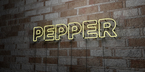 PEPPER - Glowing Neon Sign on stonework wall - 3D rendered royalty free stock illustration.  Can be used for online banner ads and direct mailers..