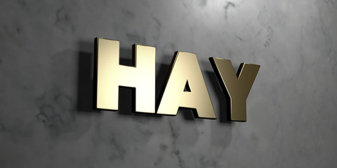 Hay - Gold sign mounted on glossy marble wall  - 3D rendered royalty free stock illustration. This image can be used for an online website banner ad or a print postcard.