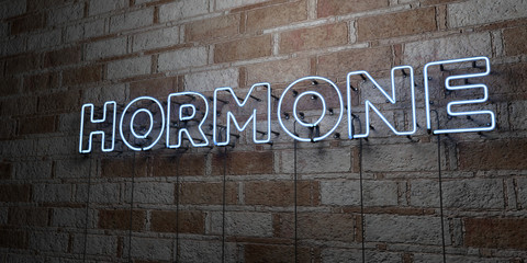HORMONE - Glowing Neon Sign on stonework wall - 3D rendered royalty free stock illustration.  Can be used for online banner ads and direct mailers..
