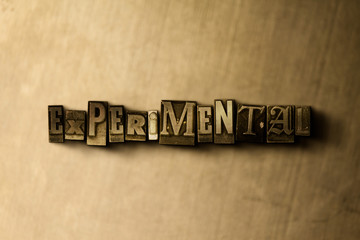 EXPERIMENTAL - close-up of grungy vintage typeset word on metal backdrop. Royalty free stock...
