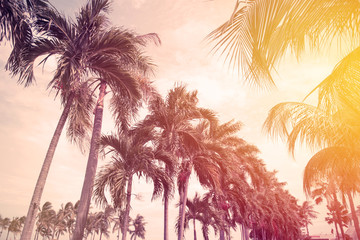 Fototapeta na wymiar Coconut palm trees in tropical beach Thailand