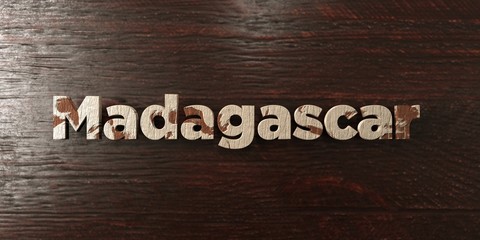Madagascar - grungy wooden headline on Maple  - 3D rendered royalty free stock image. This image can be used for an online website banner ad or a print postcard.