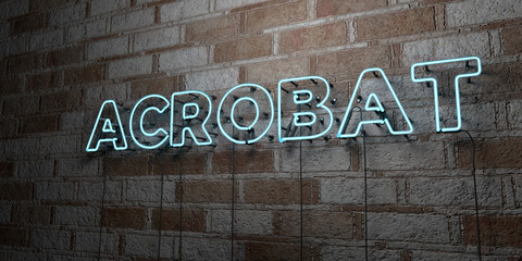 ACROBAT - Glowing Neon Sign on stonework wall - 3D rendered royalty free stock illustration.  Can be used for online banner ads and direct mailers..