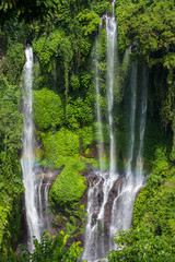 Sekumpul Waterfalls in Bali, Indonesia - obrazy, fototapety, plakaty
