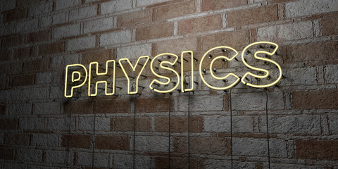 PHYSICS - Glowing Neon Sign on stonework wall - 3D rendered royalty free stock illustration.  Can be used for online banner ads and direct mailers..