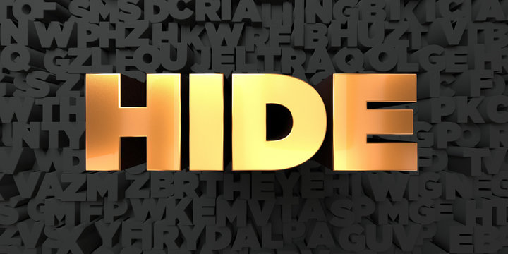 Hide - Gold text on black background - 3D rendered royalty free stock picture. This image can be used for an online website banner ad or a print postcard.