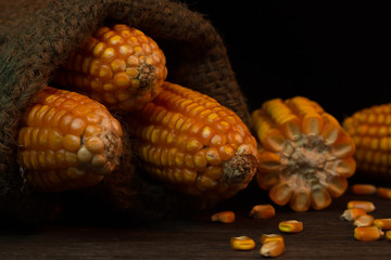 Seed corn or corn on the sack on wood grain brown on a black bac