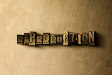 Obraz premium REPRODUCTION - close-up of grungy vintage typeset word on metal backdrop. Royalty free stock illustration. Can be used for online banner ads and direct mail.