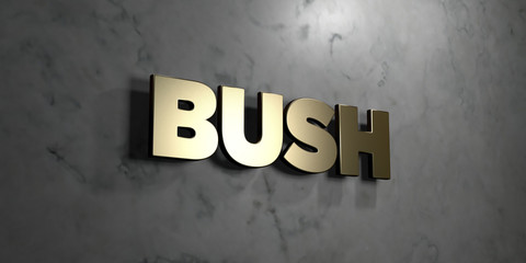 Bush - Gold sign mounted on glossy marble wall  - 3D rendered royalty free stock illustration. This image can be used for an online website banner ad or a print postcard.