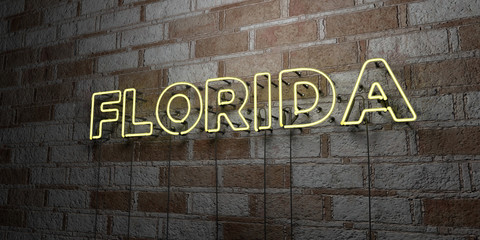Fototapeta na wymiar FLORIDA - Glowing Neon Sign on stonework wall - 3D rendered royalty free stock illustration. Can be used for online banner ads and direct mailers..