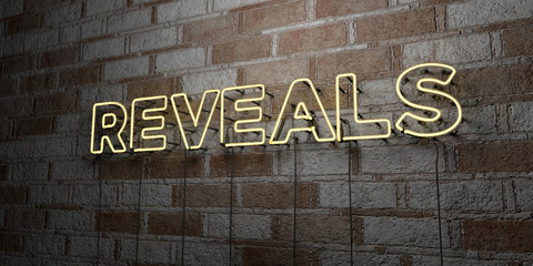 REVEALS - Glowing Neon Sign on stonework wall - 3D rendered royalty free stock illustration.  Can be used for online banner ads and direct mailers..