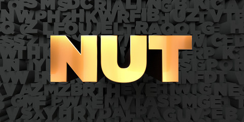 Nut - Gold text on black background - 3D rendered royalty free stock picture. This image can be used for an online website banner ad or a print postcard.