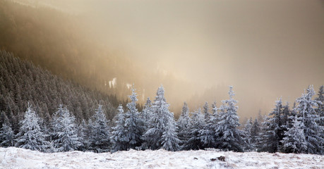 Obraz premium amazing winter sunrise through fog in the mountains