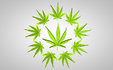 Marijuana 3d illustration. Big leaf in a circle of small leaves. On  gray background with  slight vignette.