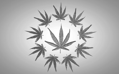 Marijuana 3d illustration. Big leaf in a circle of small leaves. On  gray background with  slight vignette. Black and white effect