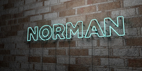 NORMAN - Glowing Neon Sign on stonework wall - 3D rendered royalty free stock illustration.  Can be used for online banner ads and direct mailers..