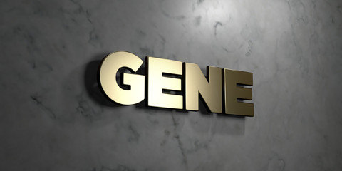 Gene - Gold sign mounted on glossy marble wall  - 3D rendered royalty free stock illustration. This image can be used for an online website banner ad or a print postcard.