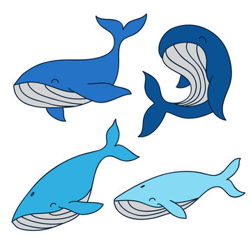 Different cute and funny blue whales