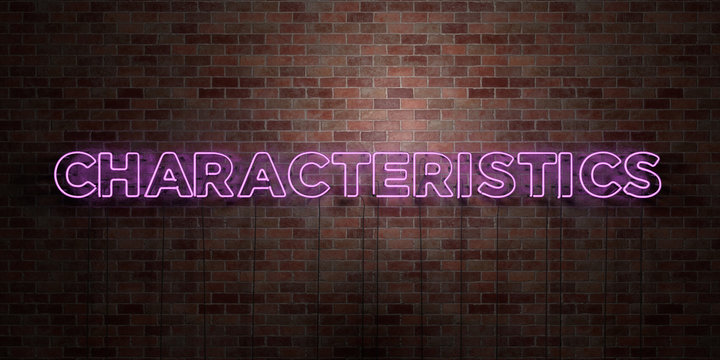 CHARACTERISTICS - fluorescent Neon tube Sign on brickwork - Front view - 3D rendered royalty free stock picture. Can be used for online banner ads and direct mailers..