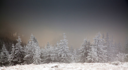 Naklejka premium amazing winter sunrise through fog in the mountains