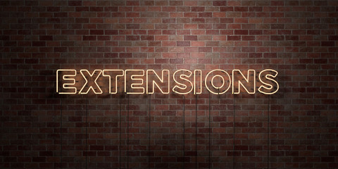 EXTENSIONS - fluorescent Neon tube Sign on brickwork - Front view - 3D rendered royalty free stock picture. Can be used for online banner ads and direct mailers..