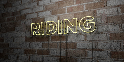 Fototapeta na wymiar RIDING - Glowing Neon Sign on stonework wall - 3D rendered royalty free stock illustration. Can be used for online banner ads and direct mailers..