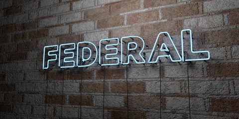 FEDERAL - Glowing Neon Sign on stonework wall - 3D rendered royalty free stock illustration.  Can be used for online banner ads and direct mailers..