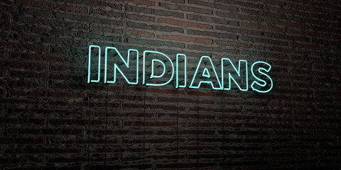 INDIANS -Realistic Neon Sign on Brick Wall background - 3D rendered royalty free stock image. Can be used for online banner ads and direct mailers..