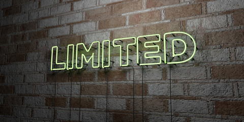 Fototapeta na wymiar LIMITED - Glowing Neon Sign on stonework wall - 3D rendered royalty free stock illustration. Can be used for online banner ads and direct mailers..