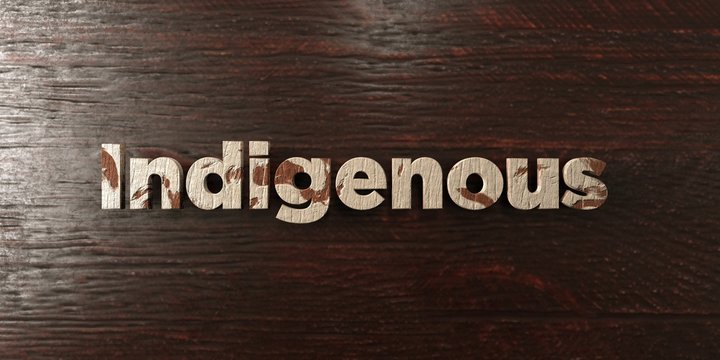 Indigenous - grungy wooden headline on Maple  - 3D rendered royalty free stock image. This image can be used for an online website banner ad or a print postcard.