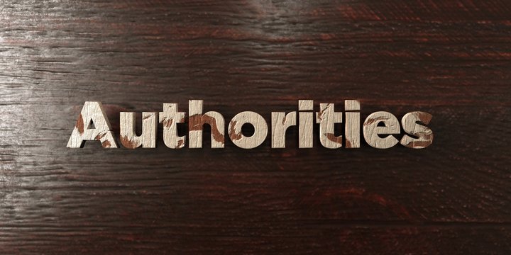 Authorities - grungy wooden headline on Maple  - 3D rendered royalty free stock image. This image can be used for an online website banner ad or a print postcard.