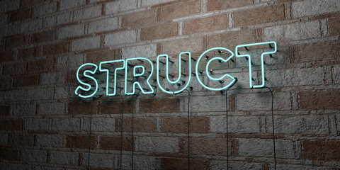 Fototapeta na wymiar STRUCT - Glowing Neon Sign on stonework wall - 3D rendered royalty free stock illustration. Can be used for online banner ads and direct mailers..