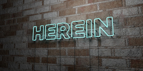HEREIN - Glowing Neon Sign on stonework wall - 3D rendered royalty free stock illustration.  Can be used for online banner ads and direct mailers..