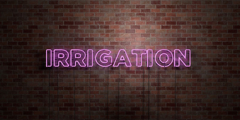 IRRIGATION - fluorescent Neon tube Sign on brickwork - Front view - 3D rendered royalty free stock picture. Can be used for online banner ads and direct mailers..