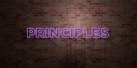 PRINCIPLES - fluorescent Neon tube Sign on brickwork - Front view - 3D rendered royalty free stock picture. Can be used for online banner ads and direct mailers..