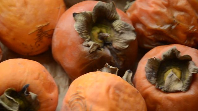 Diospyros kaki カキノキ Caqui Tomel japonsk&yacute; Kakipflaume Cachi Datolyaszilva Hurma wschodnia Хурма восточная אפרסמון 林柿 Persimmon